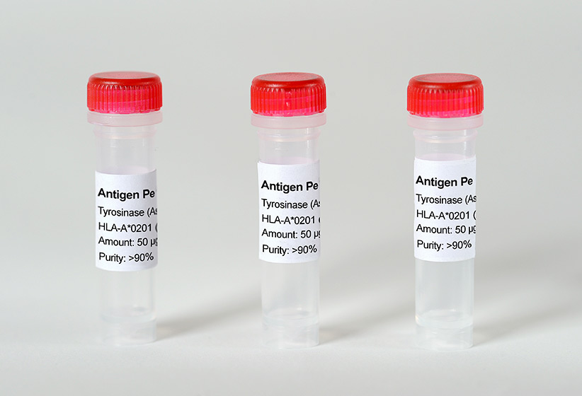 Antigen Peptide Dengue Polyprotein - HLA-B*07:02 (APTRVVAAEM)